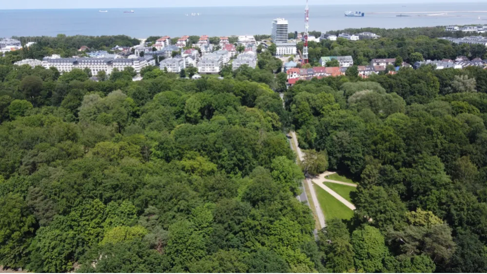 Dwieście lat od wizyty projektanta. Park Zdrojowy ma historię ukrytą w alejach.